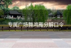 专属广场舞鸿雁分解口令