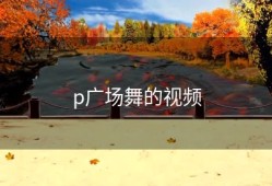 p广场舞的视频