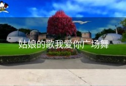 姑娘的歌我爱你广场舞