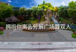 拥抱你离去分解广场舞双人