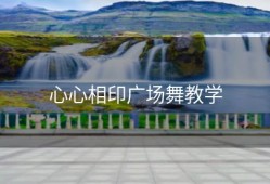 心心相印广场舞教学