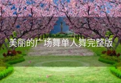 美丽的广场舞单人舞完整版