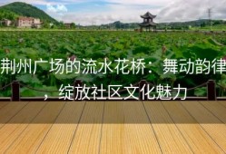 荆州广场的流水花桥：舞动韵律，绽放社区文化魅力