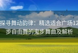 探寻舞动韵律：精选适合广场12步自由舞的鬼步舞曲及解析