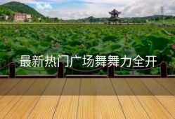 最新热门广场舞舞力全开