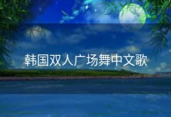 韩国双人广场舞中文歌