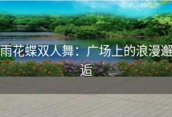 雨花蝶双人舞：广场上的浪漫邂逅