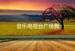 音乐电视台广场舞