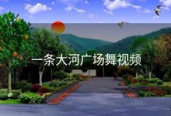 一条大河广场舞视频