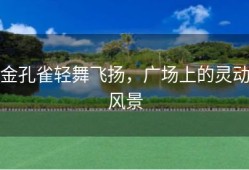 金孔雀轻舞飞扬，广场上的灵动风景