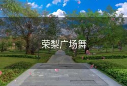 荣梨广场舞