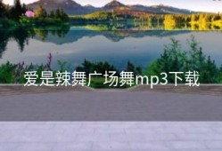 爱是辣舞广场舞mp3下载