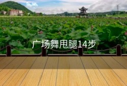 广场舞甩腿14步