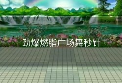 劲爆燃脂广场舞秒针