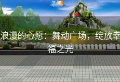 浪漫的心愿：舞动广场，绽放幸福之光