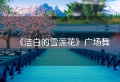 《洁白的雪莲花》广场舞