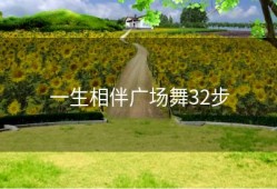 一生相伴广场舞32步