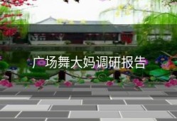 广场舞大妈调研报告