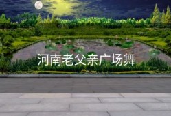 河南老父亲广场舞