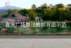 喜庆广场舞送情郎背面示范