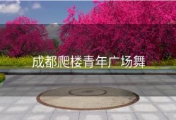 成都爬楼青年广场舞