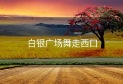 白银广场舞走西口