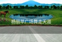 杨丽苹广场舞走天涯