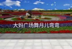 大妈广场舞月儿弯弯