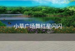 小草广场舞红星闪闪