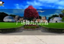 广场舞九九的酒