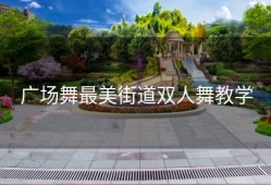 广场舞最美街道双人舞教学