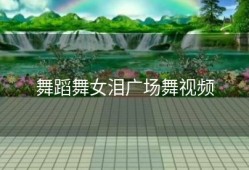 舞蹈舞女泪广场舞视频