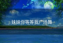 妹妹你等等我广场舞