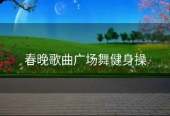 春晚歌曲广场舞健身操