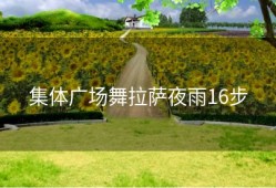 集体广场舞拉萨夜雨16步