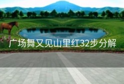 广场舞又见山里红32步分解