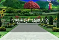 农村卖场广场舞大全