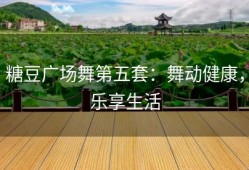 糖豆广场舞第五套：舞动健康，乐享生活