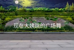 现在大姨跳的广场舞