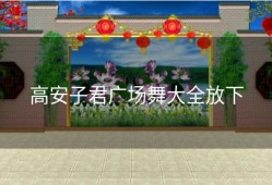 高安子君广场舞大全放下