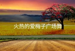 火热的爱梅子广场舞