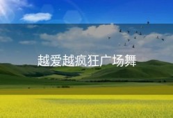 越爱越疯狂广场舞
