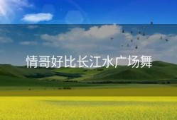 情哥好比长江水广场舞