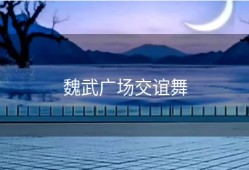 魏武广场交谊舞