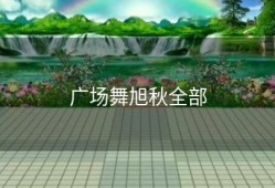 广场舞旭秋全部