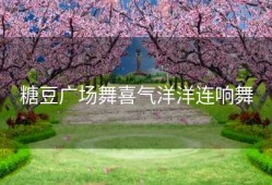 糖豆广场舞喜气洋洋连响舞