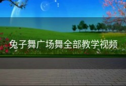 兔子舞广场舞全部教学视频