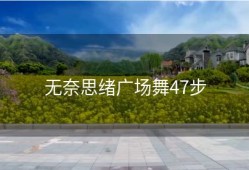 无奈思绪广场舞47步