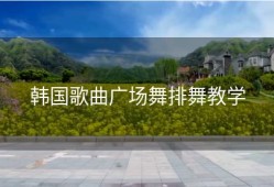 韩国歌曲广场舞排舞教学
