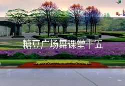 糖豆广场舞课堂十五